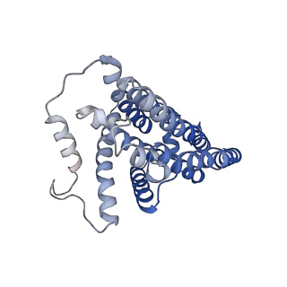 11877_7ar9_H_v1-0
Cryo-EM structure of Polytomella Complex-I (membrane arm)