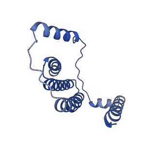 11877_7ar9_J_v1-0
Cryo-EM structure of Polytomella Complex-I (membrane arm)