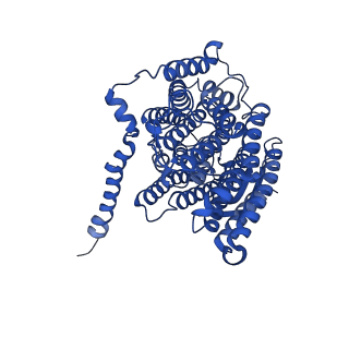 11877_7ar9_L_v1-0
Cryo-EM structure of Polytomella Complex-I (membrane arm)