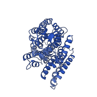 11877_7ar9_M_v1-0
Cryo-EM structure of Polytomella Complex-I (membrane arm)