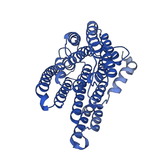 11877_7ar9_N_v1-0
Cryo-EM structure of Polytomella Complex-I (membrane arm)