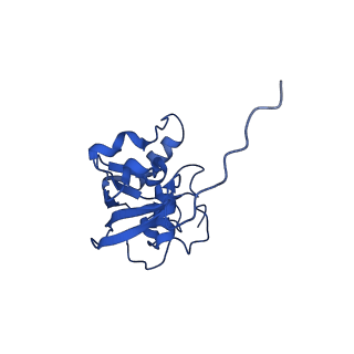 11877_7ar9_O_v1-0
Cryo-EM structure of Polytomella Complex-I (membrane arm)