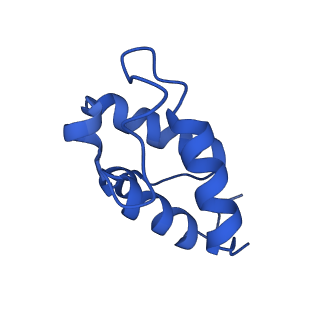 11877_7ar9_T_v1-0
Cryo-EM structure of Polytomella Complex-I (membrane arm)