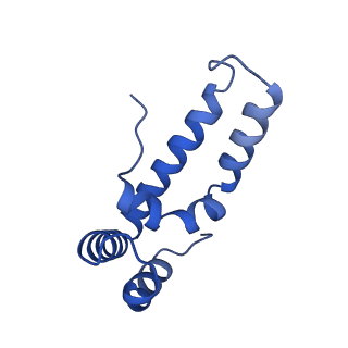 11877_7ar9_X_v1-0
Cryo-EM structure of Polytomella Complex-I (membrane arm)