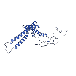 11877_7ar9_Y_v1-0
Cryo-EM structure of Polytomella Complex-I (membrane arm)
