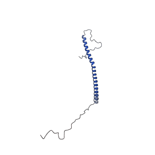 11877_7ar9_Z_v1-0
Cryo-EM structure of Polytomella Complex-I (membrane arm)