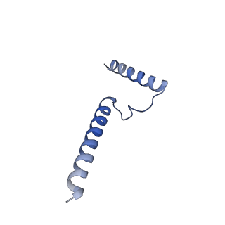 11877_7ar9_a_v1-0
Cryo-EM structure of Polytomella Complex-I (membrane arm)