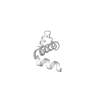 11877_7ar9_b_v1-0
Cryo-EM structure of Polytomella Complex-I (membrane arm)