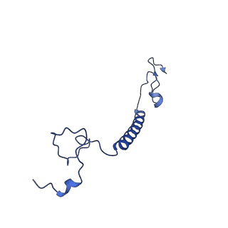 11877_7ar9_c_v1-0
Cryo-EM structure of Polytomella Complex-I (membrane arm)