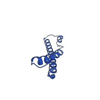 11877_7ar9_d_v1-0
Cryo-EM structure of Polytomella Complex-I (membrane arm)