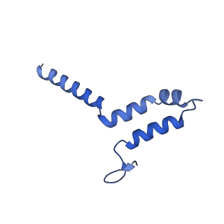 11877_7ar9_e_v1-0
Cryo-EM structure of Polytomella Complex-I (membrane arm)