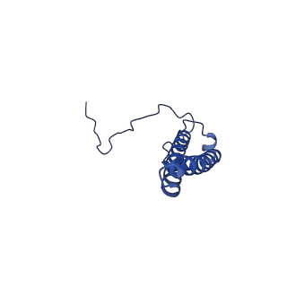 11877_7ar9_f_v1-0
Cryo-EM structure of Polytomella Complex-I (membrane arm)