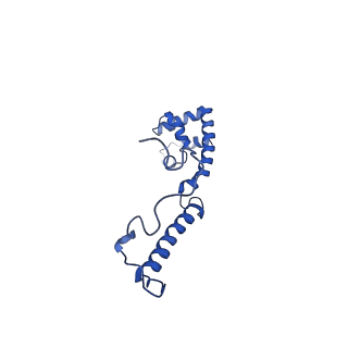 11877_7ar9_g_v1-0
Cryo-EM structure of Polytomella Complex-I (membrane arm)