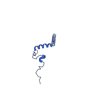 11877_7ar9_h_v1-0
Cryo-EM structure of Polytomella Complex-I (membrane arm)
