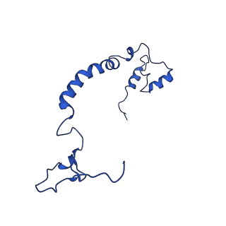11877_7ar9_l_v1-0
Cryo-EM structure of Polytomella Complex-I (membrane arm)