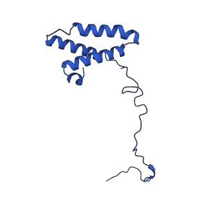 11877_7ar9_n_v1-0
Cryo-EM structure of Polytomella Complex-I (membrane arm)