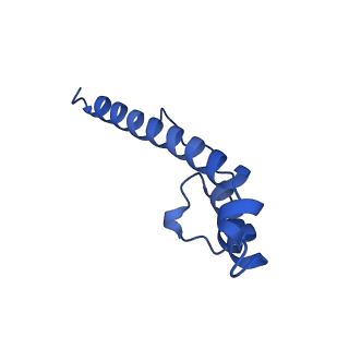 11877_7ar9_o_v1-0
Cryo-EM structure of Polytomella Complex-I (membrane arm)