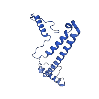 11877_7ar9_p_v1-0
Cryo-EM structure of Polytomella Complex-I (membrane arm)
