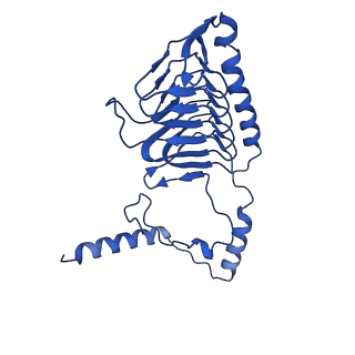 11877_7ar9_x_v1-0
Cryo-EM structure of Polytomella Complex-I (membrane arm)