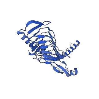11877_7ar9_y_v1-0
Cryo-EM structure of Polytomella Complex-I (membrane arm)