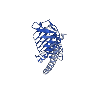 11877_7ar9_z_v1-0
Cryo-EM structure of Polytomella Complex-I (membrane arm)
