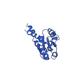 11878_7arb_B_v1-0
Cryo-EM structure of Arabidopsis thaliana Complex-I (complete composition)