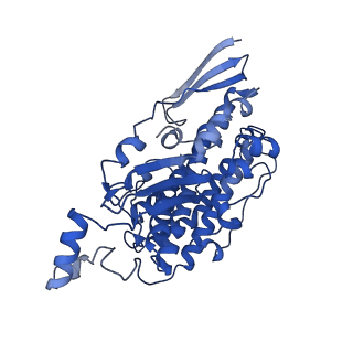 11878_7arb_D_v1-0
Cryo-EM structure of Arabidopsis thaliana Complex-I (complete composition)