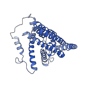 11878_7arb_H_v1-0
Cryo-EM structure of Arabidopsis thaliana Complex-I (complete composition)