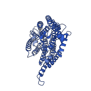 11878_7arb_N_v1-0
Cryo-EM structure of Arabidopsis thaliana Complex-I (complete composition)