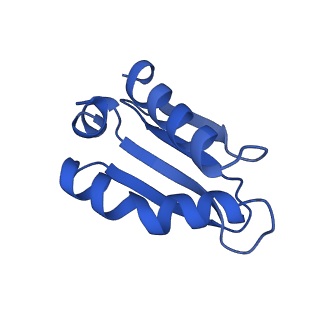 11878_7arb_S_v1-0
Cryo-EM structure of Arabidopsis thaliana Complex-I (complete composition)