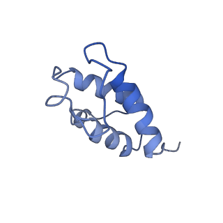 11878_7arb_T_v1-0
Cryo-EM structure of Arabidopsis thaliana Complex-I (complete composition)