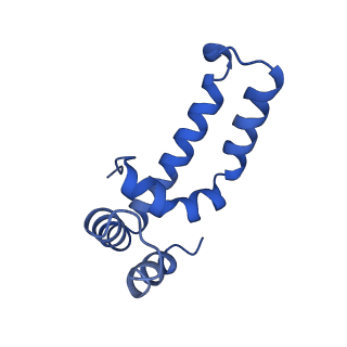 11878_7arb_X_v1-0
Cryo-EM structure of Arabidopsis thaliana Complex-I (complete composition)