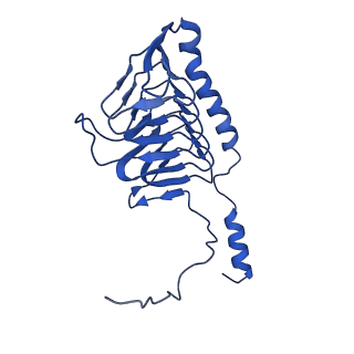 11878_7arb_x_v1-0
Cryo-EM structure of Arabidopsis thaliana Complex-I (complete composition)