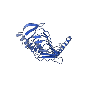 11878_7arb_y_v1-0
Cryo-EM structure of Arabidopsis thaliana Complex-I (complete composition)