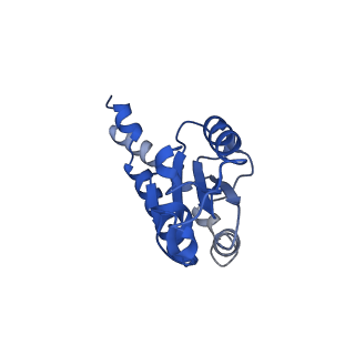 11879_7arc_B_v1-0
Cryo-EM structure of Polytomella Complex-I (peripheral arm)