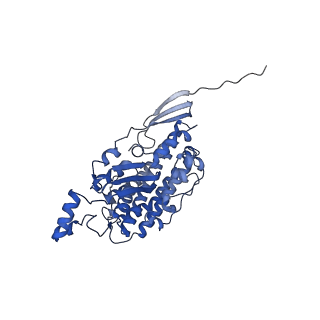11879_7arc_D_v1-0
Cryo-EM structure of Polytomella Complex-I (peripheral arm)