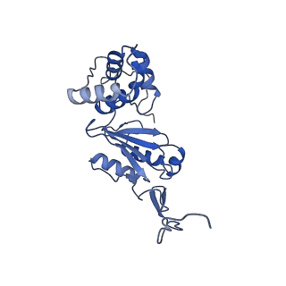 11879_7arc_E_v1-0
Cryo-EM structure of Polytomella Complex-I (peripheral arm)