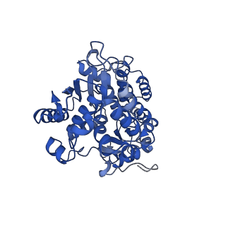 11879_7arc_F_v1-0
Cryo-EM structure of Polytomella Complex-I (peripheral arm)