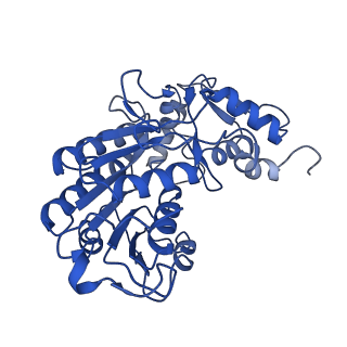 11879_7arc_P_v1-0
Cryo-EM structure of Polytomella Complex-I (peripheral arm)