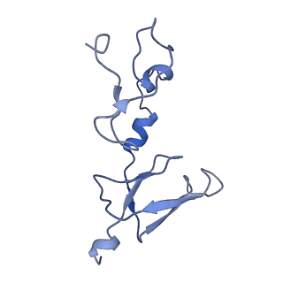 11879_7arc_R_v1-0
Cryo-EM structure of Polytomella Complex-I (peripheral arm)