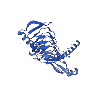 11880_7ard_y_v1-0
Cryo-EM structure of Polytomella Complex-I (complete composition)