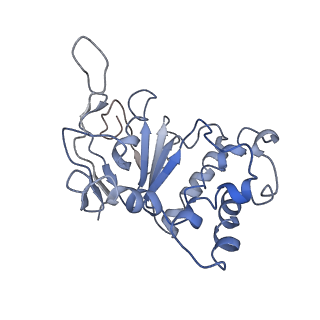 11882_7arh_D_v1-2
LolCDE in complex with lipoprotein