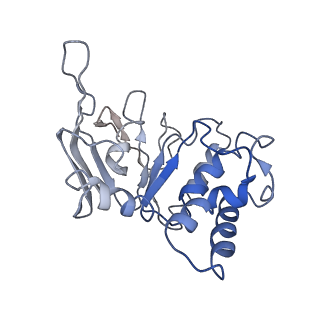 11886_7arl_D_v1-2
LolCDE in complex with lipoprotein and ADP