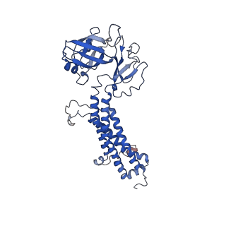 11887_7arm_C_v1-2
LolCDE in complex with lipoprotein and LolA