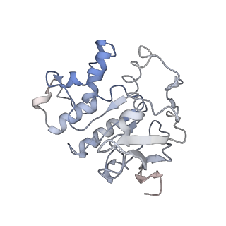 11887_7arm_D_v1-2
LolCDE in complex with lipoprotein and LolA