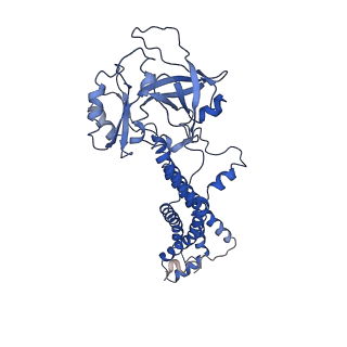 11887_7arm_E_v1-2
LolCDE in complex with lipoprotein and LolA