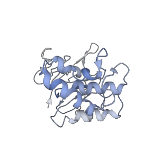 11887_7arm_F_v1-2
LolCDE in complex with lipoprotein and LolA