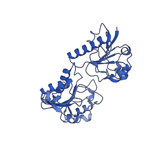 15603_8ari_A_v1-0
Cryo-EM structure of human CtBP1/RAI2(303-362) delta(331-341) filament