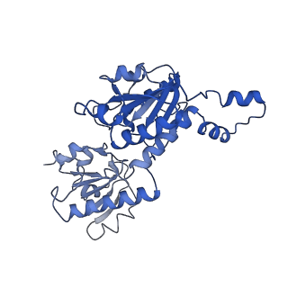 15603_8ari_B_v1-0
Cryo-EM structure of human CtBP1/RAI2(303-362) delta(331-341) filament