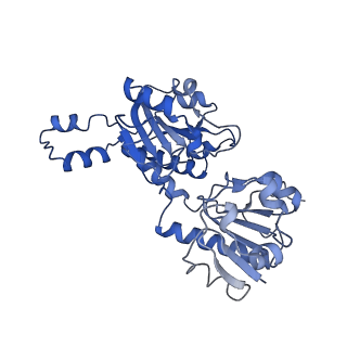 15603_8ari_C_v1-0
Cryo-EM structure of human CtBP1/RAI2(303-362) delta(331-341) filament